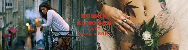 бошки Алексин