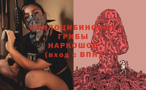 бошки Алексин