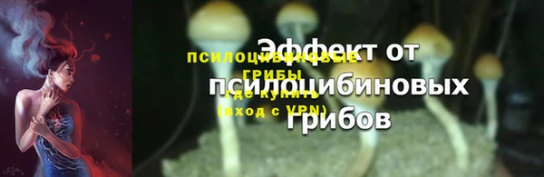 молекула духа Протвино